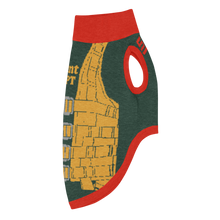 Load image into Gallery viewer, Holiday Classic Jerk Vest Pet Sweater