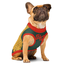 Load image into Gallery viewer, Holiday Classic Jerk Vest Pet Sweater